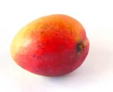 mango tommy